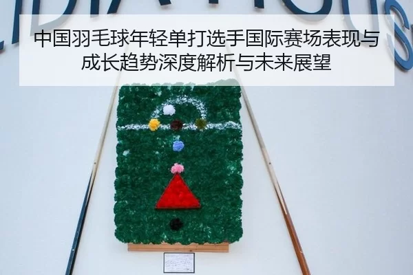 中国羽毛球年轻单打选手国际赛场表现与成长趋势深度解析与未来展望